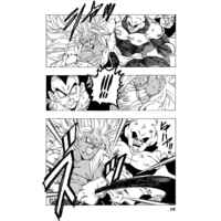 Doujinshi - Dragon Ball / Vegeta & Goku (AFTER THE FUTURE No.20) / Monkees
