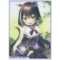 Card Sleeves - Princess Connect Re:Dive / Kyaru