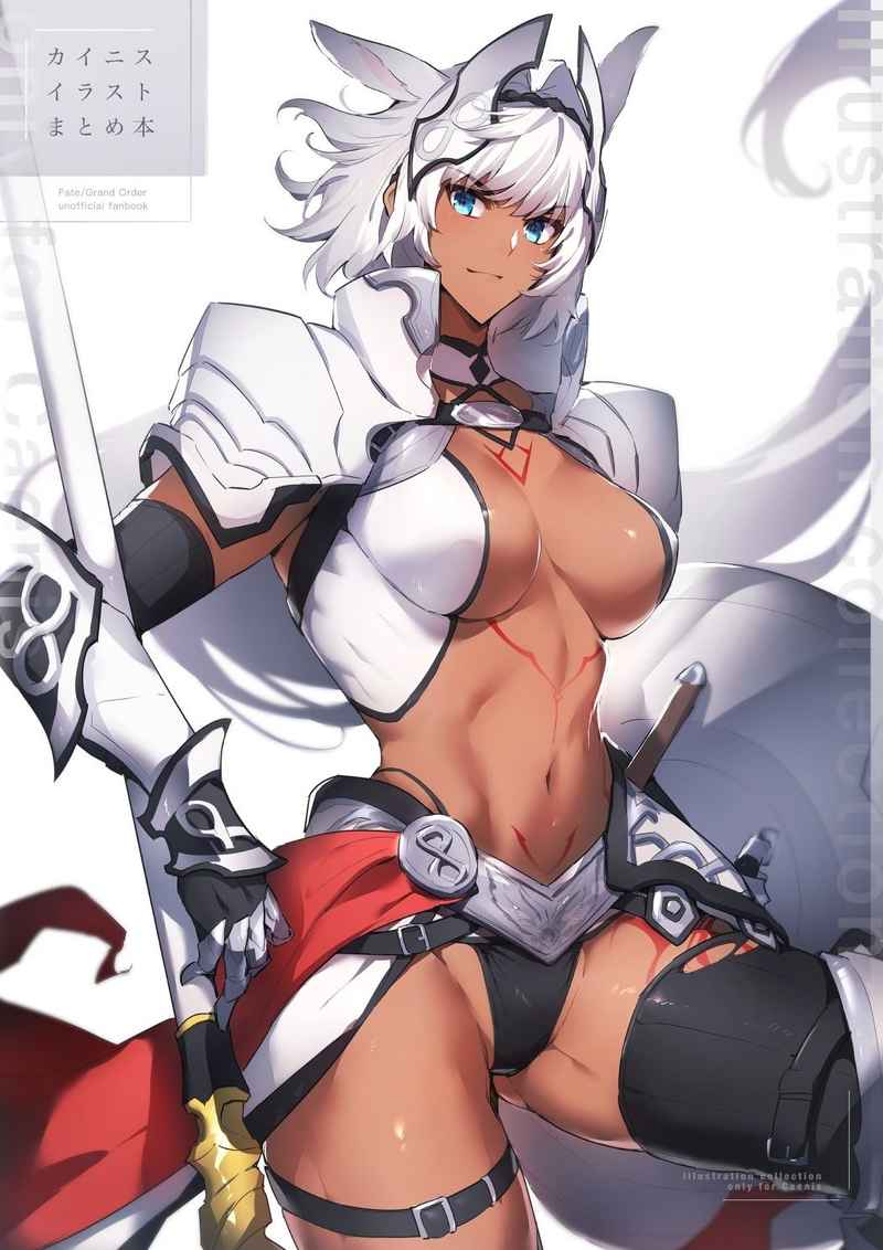 Doujinshi - Illustration book - Fate/Grand Order / Caenis (Fate Series) (カイニスイラストまとめ本) / 鯖森